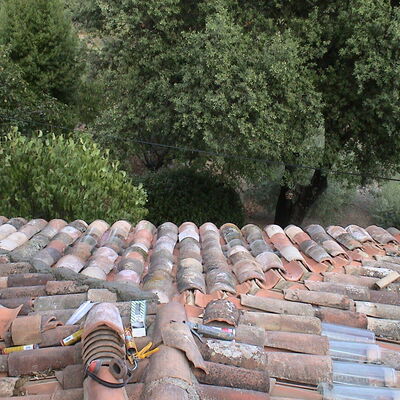 Charpente et toiture